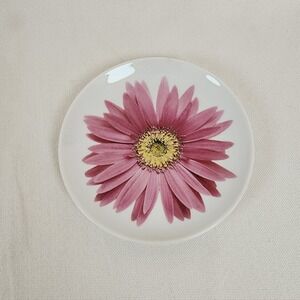 Isaac Mizrahi For Target Pink Daisy Salad Plate 6" Dishwasher Safe China